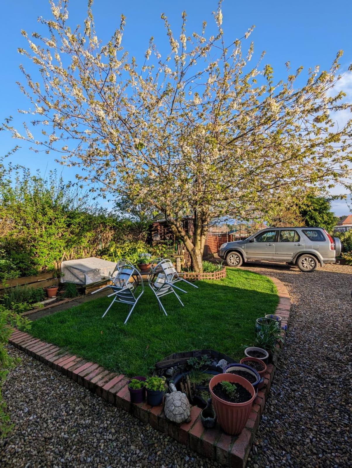 Number 18 Bed and Breakfast Γουίτμπι Εξωτερικό φωτογραφία